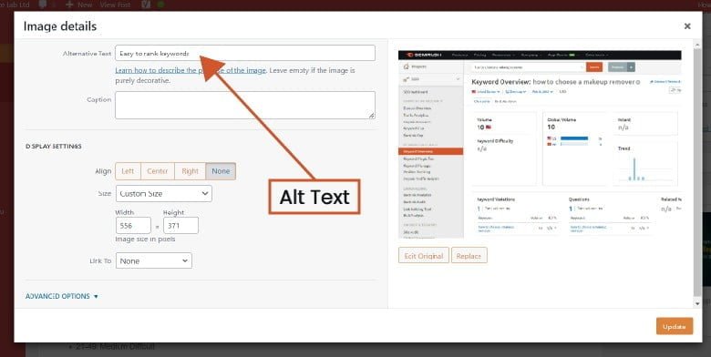 Alt Text
