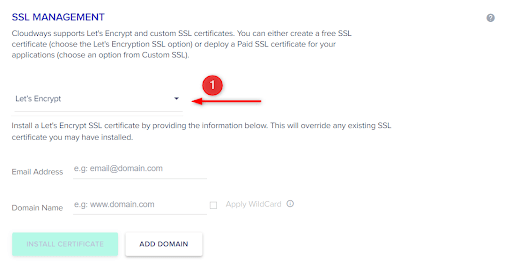 Encrypt SSL in Cloudways