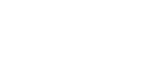 Mint Bangladesh logo
